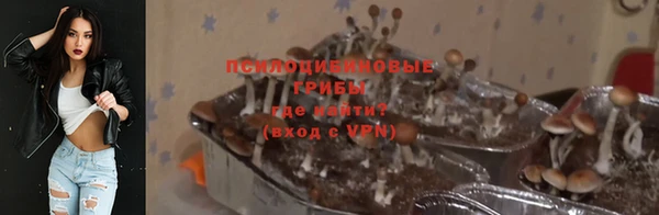ALPHA PVP Верея